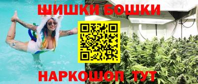 сатива Новодвинск