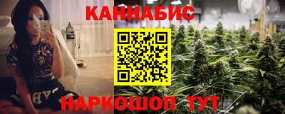 сатива Новодвинск