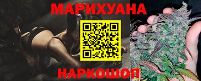 сатива Новодвинск