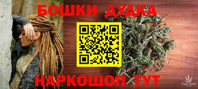сатива Новодвинск