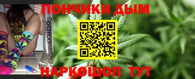 сатива Новодвинск