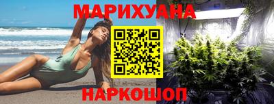 сатива Новодвинск