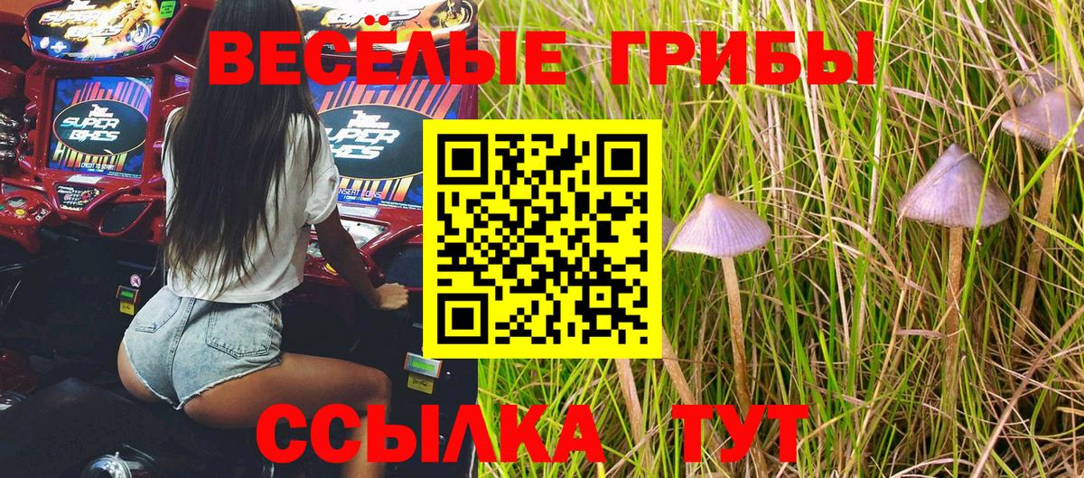 Псилоцибиновые грибы Psilocybe Азнакаево